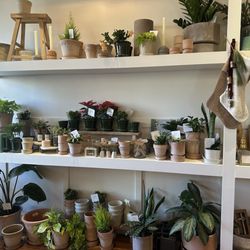 Fern & Ridge