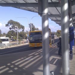 Elizabeth Train Station - Bus Stand