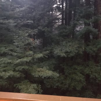 Hulter Construction - Ahhhh nice to sit outside next to the redwoods - General Contractors Near Me - Felton, California Hulter Construction - Ahhhh nice to sit outside next to the redwoods - General Contractors Near Me - Felton, California