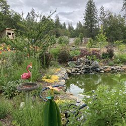 Hummingbird Creek Farms - Garden from our table