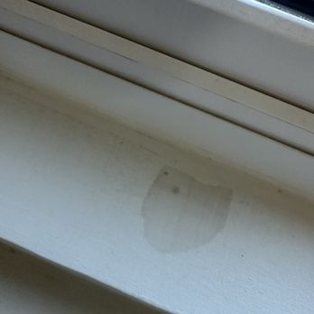 The Termite Guy - Pest Control Near Me - Santa Ana, California The Termite Guy - Pest Control Near Me - Santa Ana, California