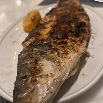 Naxos Taverna - Sea bass - Greek Near Me - Las Vegas, Nevada Naxos Taverna - Sea bass - Greek Near Me - Las Vegas, Nevada