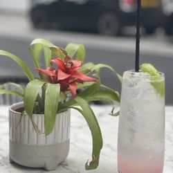Stork Restaurant - Cocktail