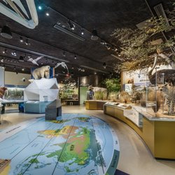 Delaware Museum of Nature and Science - Explore some of the world's ecosystems, including the oceans, the Arctic Tundra, African Savanna, and Tropical Rainforest.