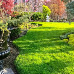 Ramos Landscaping And Lawn Care