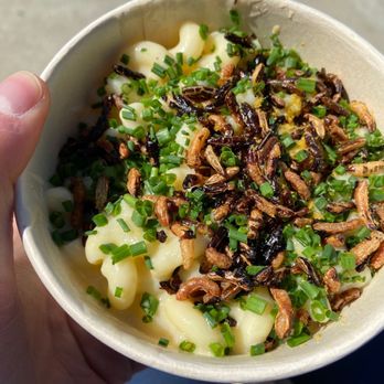 Dad's Luncheonette - Mac n cheese - New American Near Me - Half Moon Bay, California Dad's Luncheonette - Mac n cheese - New American Near Me - Half Moon Bay, California