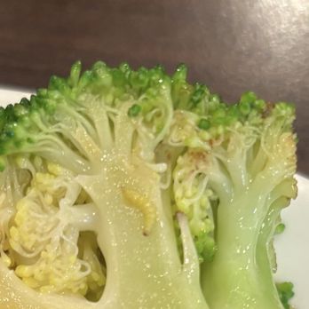Hibachi Grill Buffet - Maggot in my food - Buffets Near Me - West Covina, California