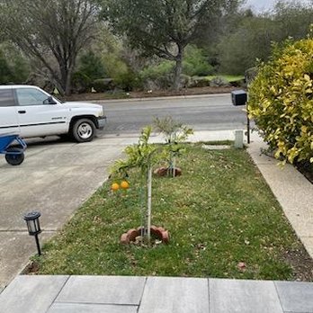 Garden Bros Landscape Services - Before - Landscaping Near Me