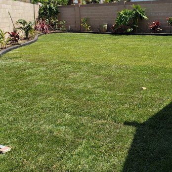 California Sod Center - Nurseries & Gardening Near Me - Chino, California California Sod Center - Nurseries & Gardening Near Me - Chino, California