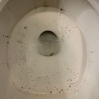 Graduate by Hilton Eugene - Moldy toilet - Hotels Near Me - Eugene, Oregon Graduate by Hilton Eugene - Moldy toilet - Hotels Near Me - Eugene, Oregon