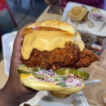 Dave's Hot Chicken - Chicken Shop Near Me - Newton, Massachusetts Dave's Hot Chicken - Chicken Shop Near Me - Newton, Massachusetts