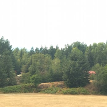 Cowlitz River Lodge - View from our window!! - Hotels Near Me - Packwood, Washington Cowlitz River Lodge - View from our window!! - Hotels Near Me - Packwood, Washington