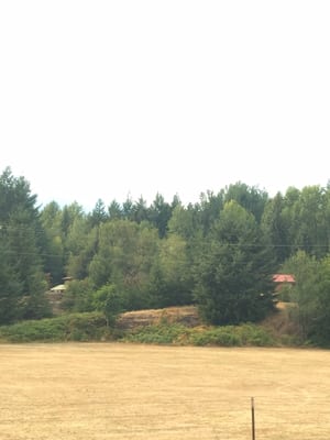Cowlitz River Lodge by null