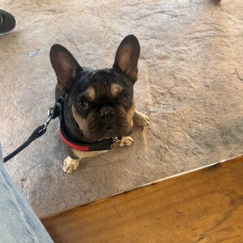 Howling Dog Cafe - Happy customer - Cafes Near Me - Lakeport, California