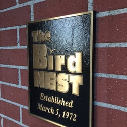Bird Nest - No birds today