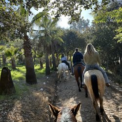 Pretty Horses Rescue