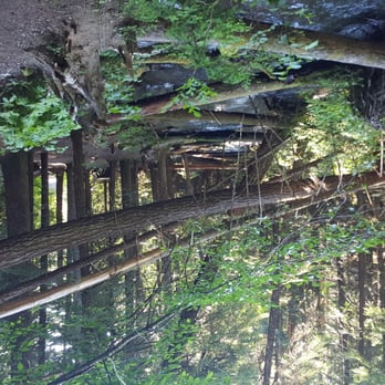 Little Zigzag Falls - Hiking Near Me