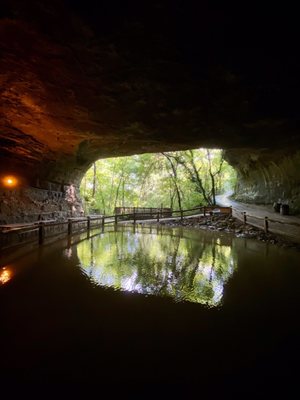 Cave Vineyard by null
