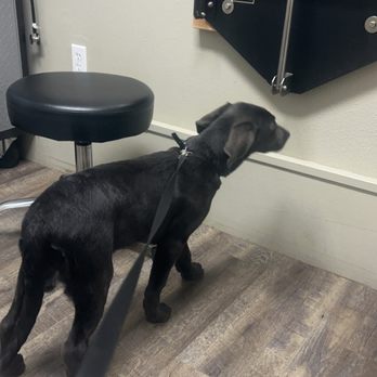 Bigfork Animal Hospital - Veterinarians Near Me - Bigfork, Montana Bigfork Animal Hospital - Veterinarians Near Me - Bigfork, Montana