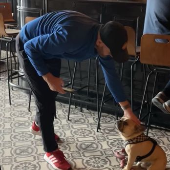 De Kelk - Eddie is a sweetheart. - Pubs Near Me - Bruges, VWV