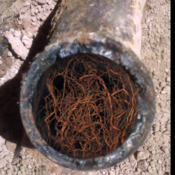 Medina Sewer & Drain Cleaning Services