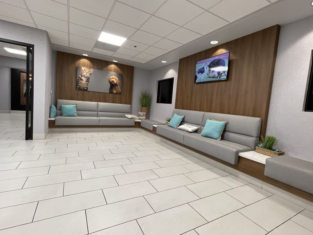 INLAND VALLEY VETERINARY SPECIALISTS & EMERGENCY CENTER 161 Photos