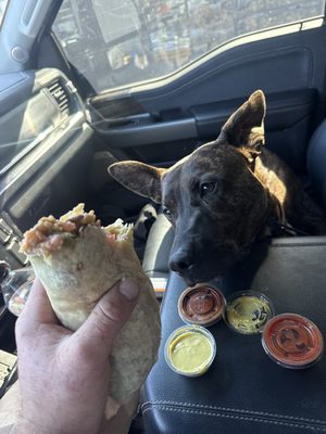 El Puerto Mexican & Seafood by null