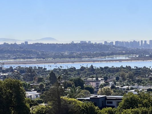 Kate Sessions Memorial Park by null