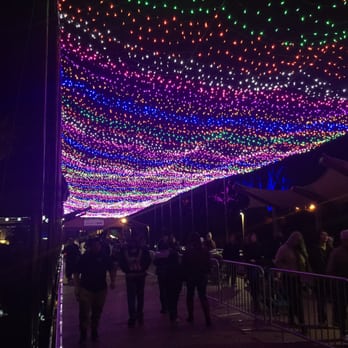 Zoolights - Walkway bridge with amazing canopy of lights! - Zoos Near Me - Phoenix, Arizona Zoolights - Walkway bridge with amazing canopy of lights! - Zoos Near Me - Phoenix, Arizona