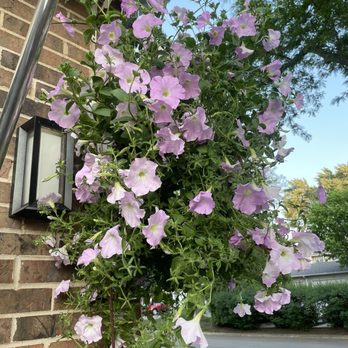 Horchers Country Flowers - Florists Near Me - Wheeling, Illinois
