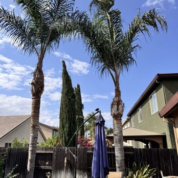 Pablo’s Landscaping Services - very professional excellent work highly recommend Pablo's landscaping services - Landscaping Near Me Pablo’s Landscaping Services - very professional excellent work highly recommend Pablo's landscaping services - Landscaping Near Me