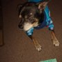 Photo of Caldwell Animal Hospital