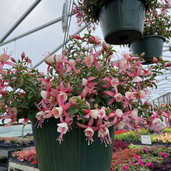 Byrne Farm - Farmers Market Near Me - Wrightstown, New Jersey