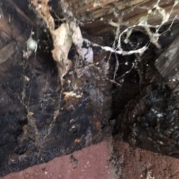 Advantage Inspection Upstate - Rot under deck that was very visible.I had to totally have the deck removed and replaced back .Many thousands of dollars - Home Inspectors Near Me Advantage Inspection Upstate - Rot under deck that was very visible.I had to totally have the deck removed and replaced back .Many thousands of dollars - Home Inspectors Near Me