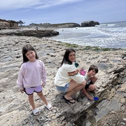 Natural Bridges State Beach