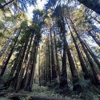 Muir Woods Visitor Center - Visitor Centers Near Me - Mill Valley, California