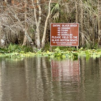 Silver Springs State Park - Tours Near Me - Silver Springs, Florida Silver Springs State Park - Tours Near Me - Silver Springs, Florida