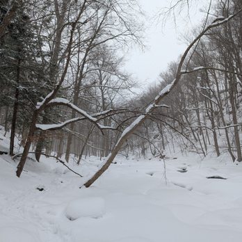 Akron Falls Park - Trail to waterfall. February 2026 - Parks Near Me - Akron, New York