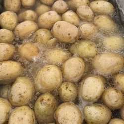 Murphy's Concessions - Salt potatoes