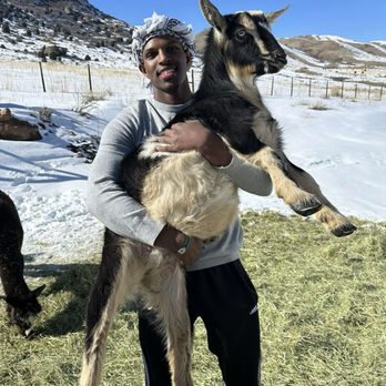 Smooth Alpaca Experience - Petting Zoos Near Me - Golden, Colorado Smooth Alpaca Experience - Petting Zoos Near Me - Golden, Colorado