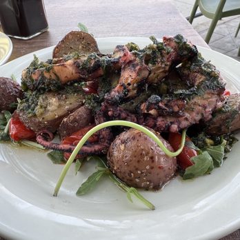 Cibo Vino - Perfectly grilled octopus with amazing potatoes, tomatoes, and greens that were perfectly seasoned and finished with olive oil. - Italian Near Me - Omaha, Nebraska Cibo Vino - Perfectly grilled octopus with amazing potatoes, tomatoes, and greens that were perfectly seasoned and finished with olive oil. - Italian Near Me - Omaha, Nebraska