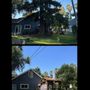 J’s Lawn Maintenance & Tree Removal