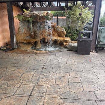 Flamingo Road Nursery - Nurseries & Gardening Near Me - Davie, Florida Flamingo Road Nursery - Nurseries & Gardening Near Me - Davie, Florida
