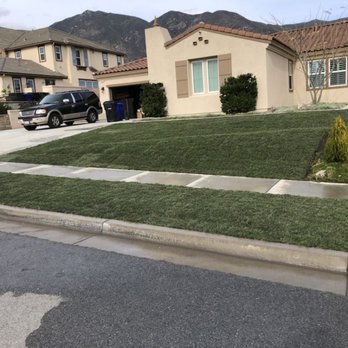 The Turf Dr - Landscaping Near Me The Turf Dr - Landscaping Near Me