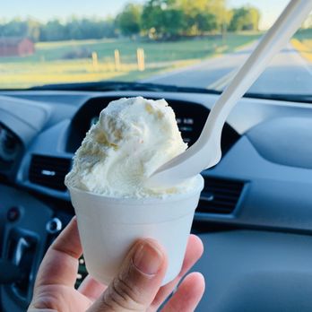 Homeland Creamery - Lemon ice cream scoop. - Ice Cream & Frozen Yogurt Near Me - Julian, North Carolina Homeland Creamery - Lemon ice cream scoop. - Ice Cream & Frozen Yogurt Near Me - Julian, North Carolina