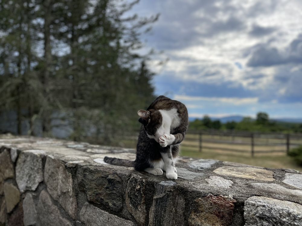 Social spots from Stonecrop Gardens