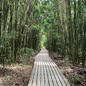 Pipiwai Trail - Hiking Near Me - Hana,, Hawaii