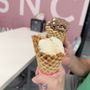 Baskin-Robbins
