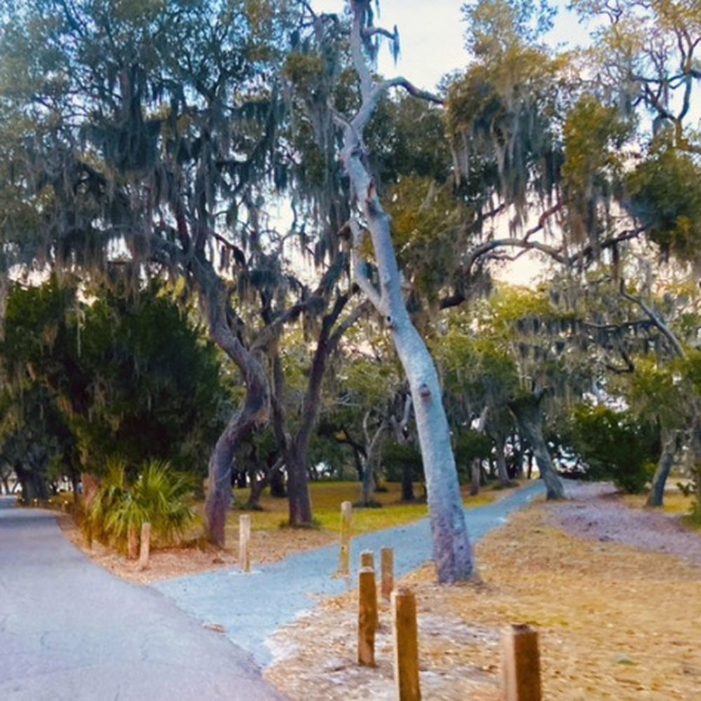 Clam Creek Picnic Area - Clam Creek Picnic Area -- If you are walking, note there is a long road to the pier/picnic area. - Parks Near Me