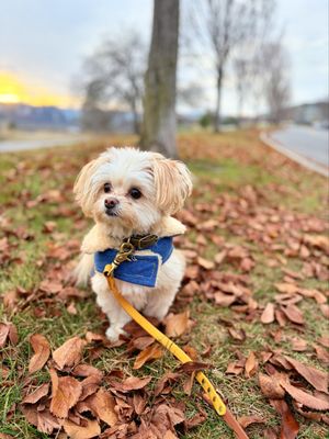 Riverfront Park by null